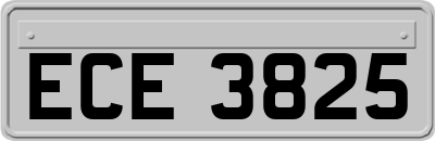 ECE3825