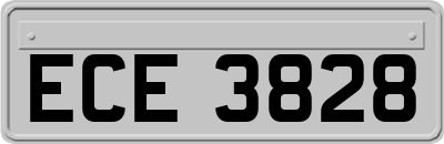 ECE3828