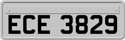 ECE3829
