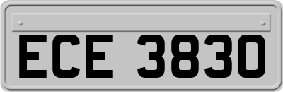 ECE3830