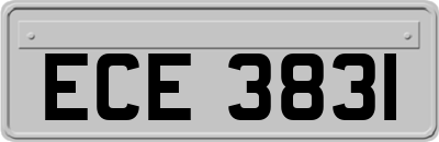 ECE3831