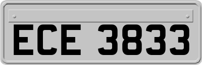 ECE3833