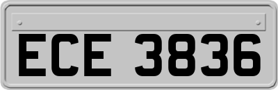ECE3836