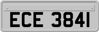 ECE3841