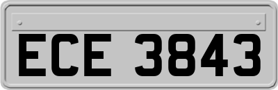 ECE3843