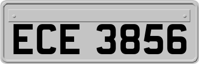ECE3856