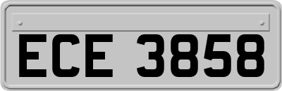 ECE3858