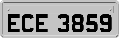 ECE3859