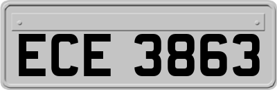 ECE3863