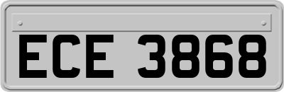ECE3868
