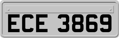 ECE3869