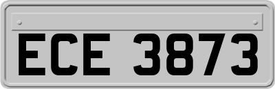 ECE3873