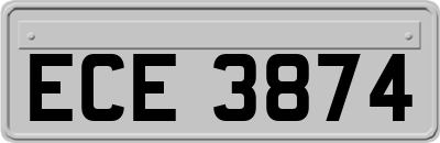 ECE3874