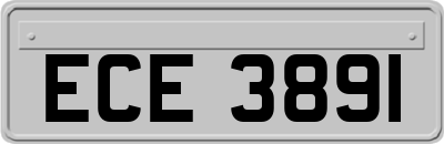 ECE3891