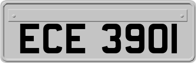 ECE3901