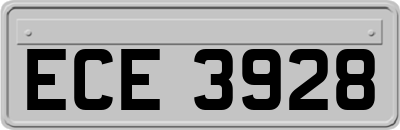 ECE3928