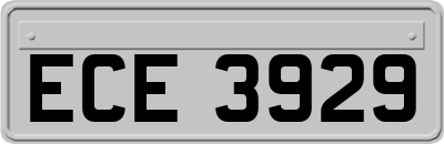 ECE3929