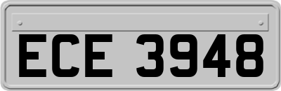 ECE3948