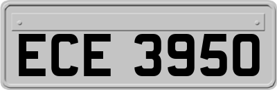ECE3950