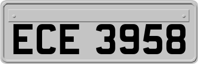 ECE3958