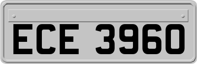 ECE3960