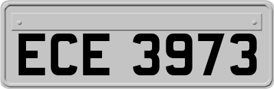 ECE3973
