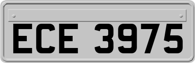 ECE3975
