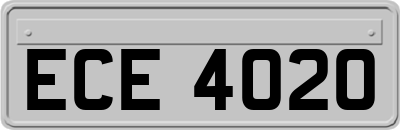 ECE4020