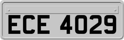 ECE4029