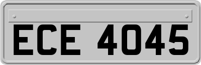 ECE4045