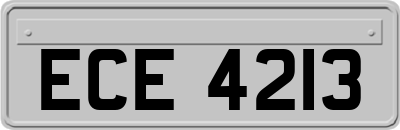 ECE4213