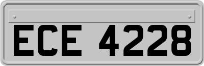 ECE4228
