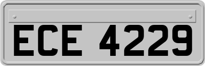 ECE4229