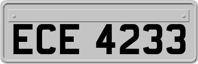ECE4233