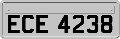 ECE4238