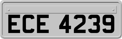 ECE4239
