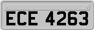 ECE4263