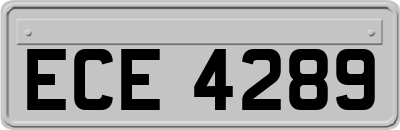 ECE4289