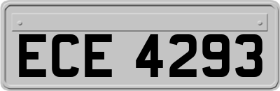 ECE4293
