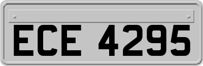 ECE4295