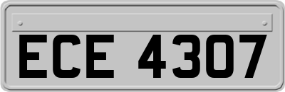 ECE4307