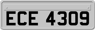 ECE4309