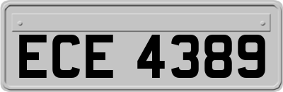ECE4389