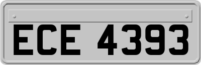 ECE4393