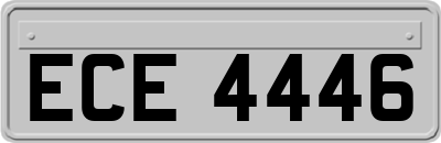 ECE4446