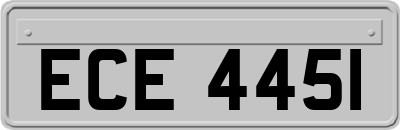 ECE4451