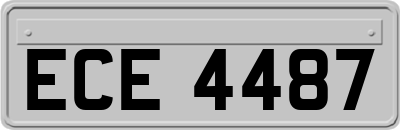ECE4487