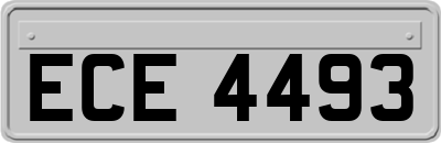 ECE4493