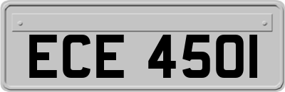 ECE4501