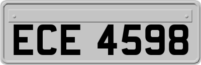 ECE4598